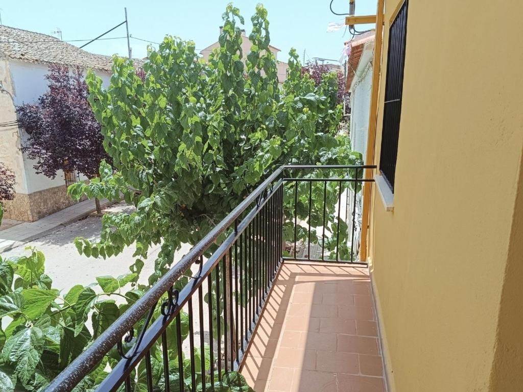 El Hostalito Fuensanta  Ngoại thất bức ảnh